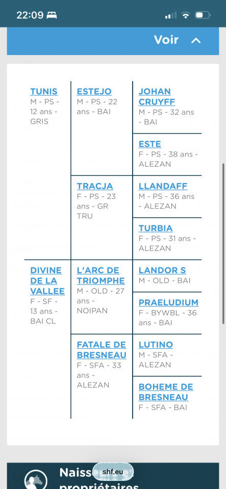 Jument 3 ans 