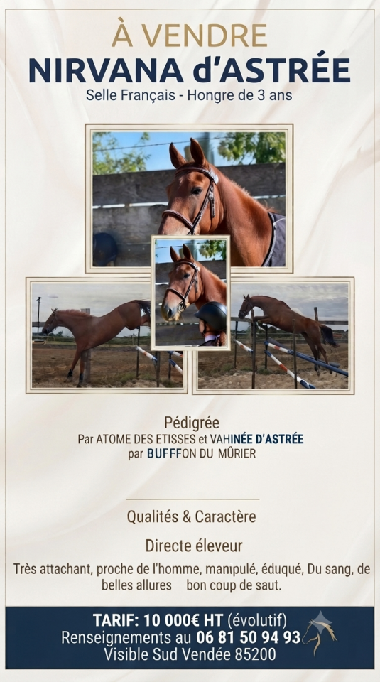 HONGRE 3 ANS 