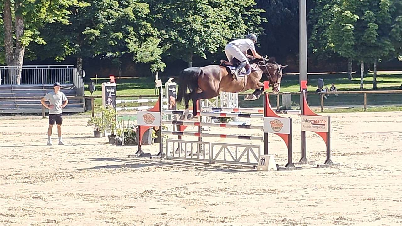 TOP Jument SF par Qlassic Bois Margot