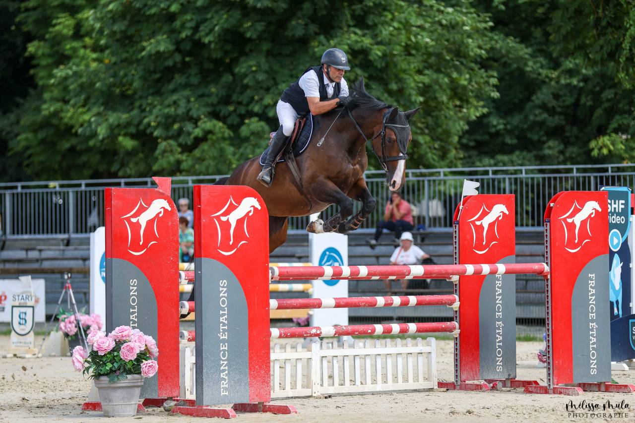 TOP Jument SF par Qlassic Bois Margot