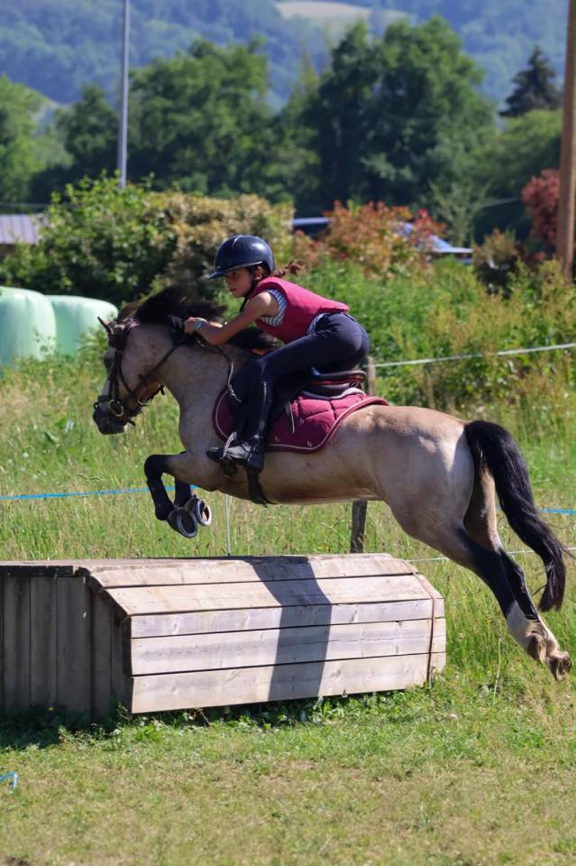 A vendre Poney B - PFS - CSO