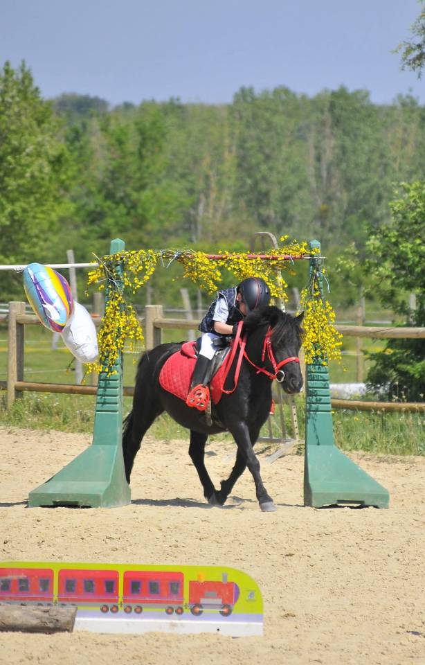 Poney SHETLAND 1M10