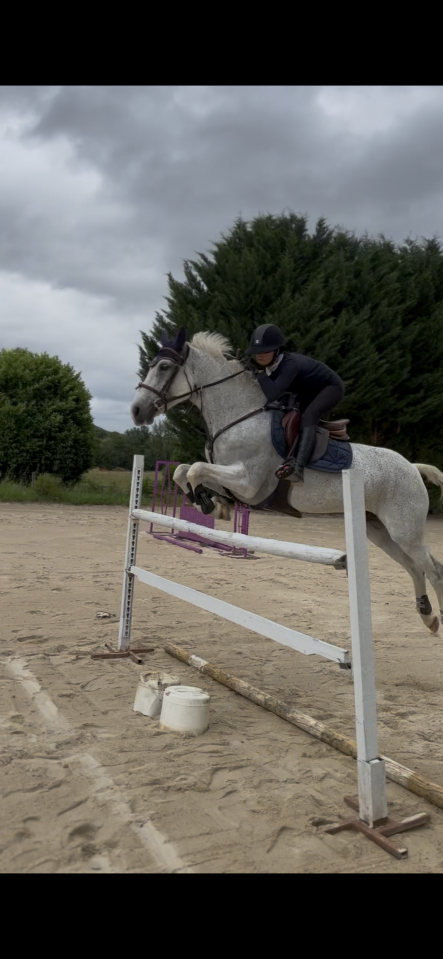 Ponette 100% connemara