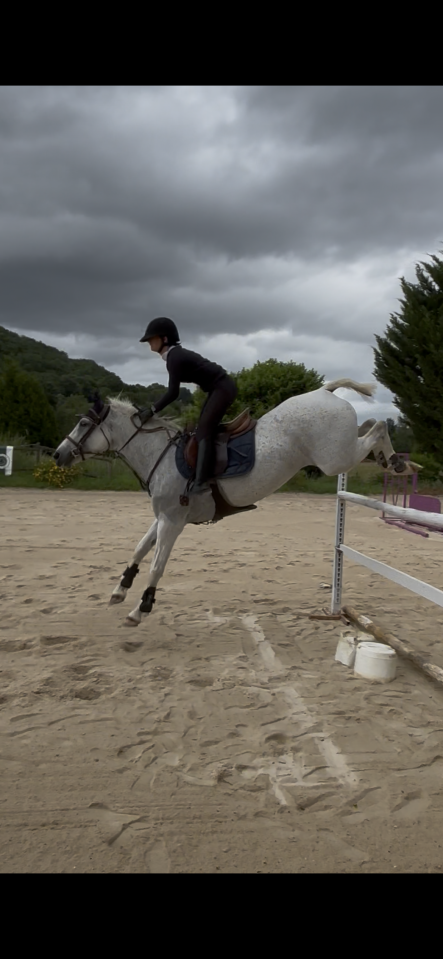 Ponette 100% connemara
