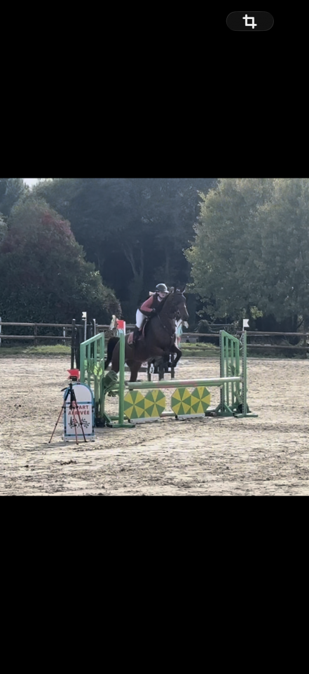 Cheval 5ans d&rsquo;avenir CSO  