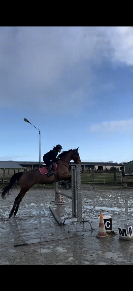 Cheval 5ans d&rsquo;avenir CSO  