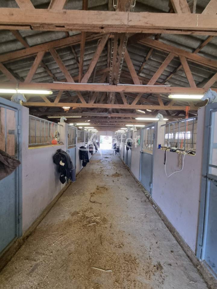 B&acirc;timent agricole sur 1.2ha -Ecuries aux portes de B&eacute;ziers