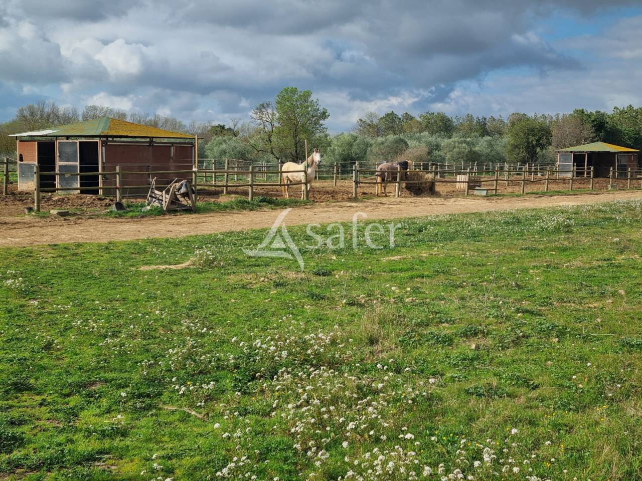 B&acirc;timent agricole sur 1.2ha -Ecuries aux portes de B&eacute;ziers