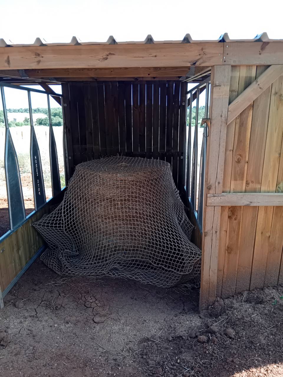 Pension paddock confort - Cheval loisir les Castans 