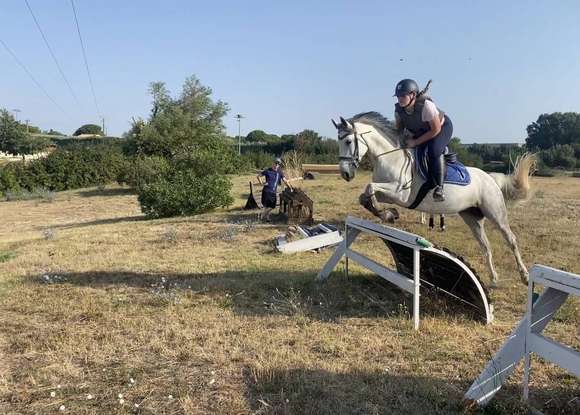Poney de sport - Fantastique du meyras 
