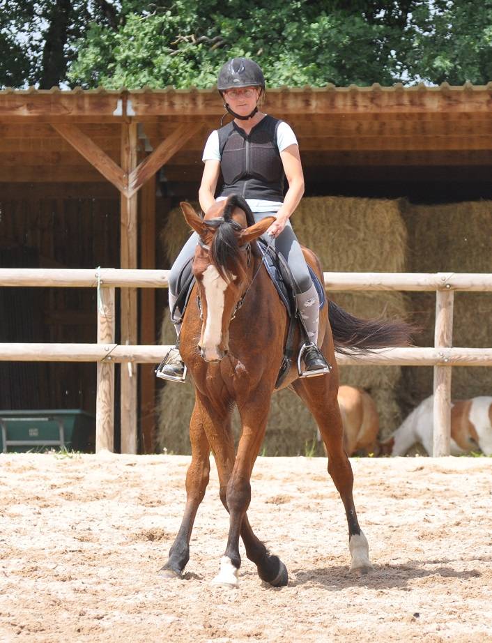 Cheval Mag Ness
