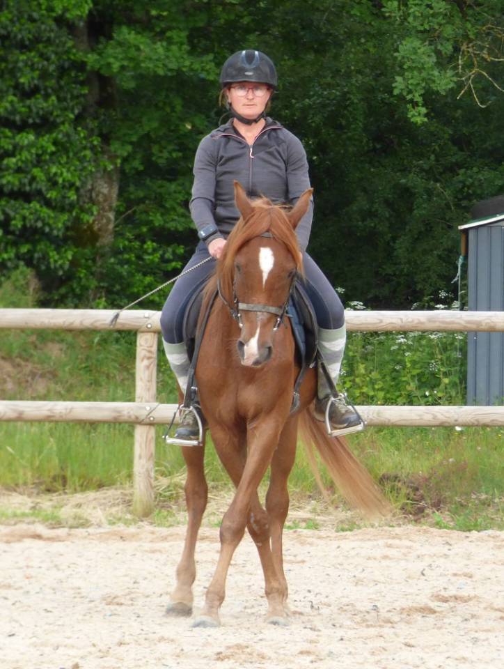 Poney Mazaak