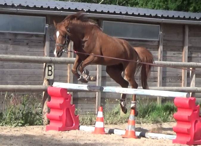 Poney Mazaak