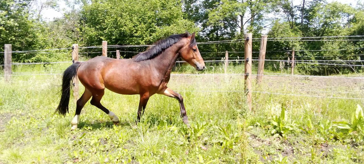 Chic M&acirc;le 2 ans 1m30