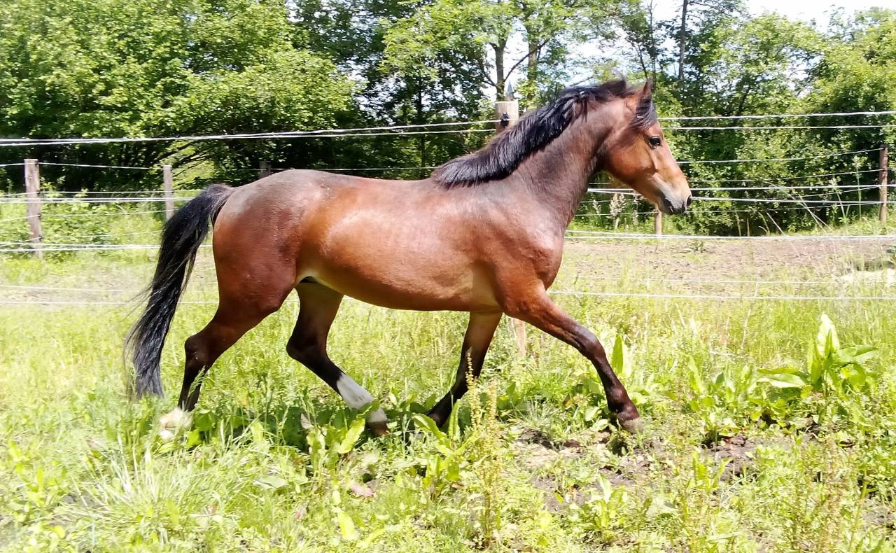 Chic M&acirc;le 2 ans 1m30