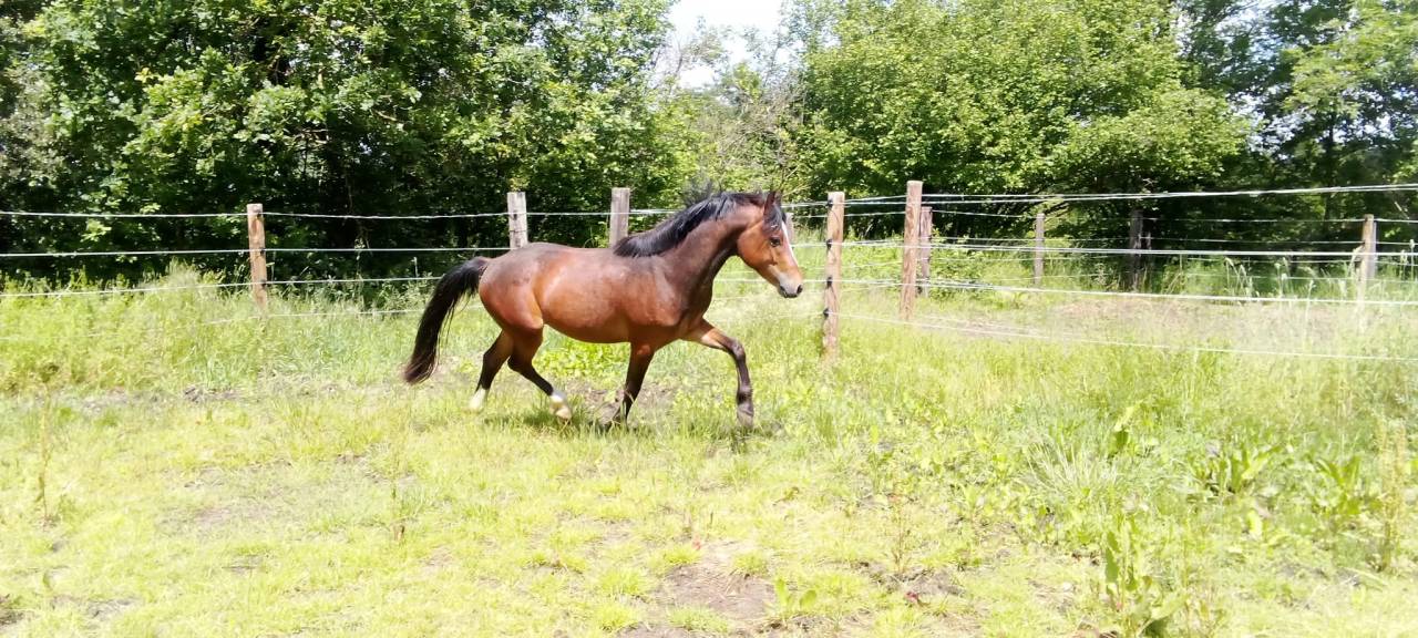 Chic M&acirc;le 2 ans 1m30