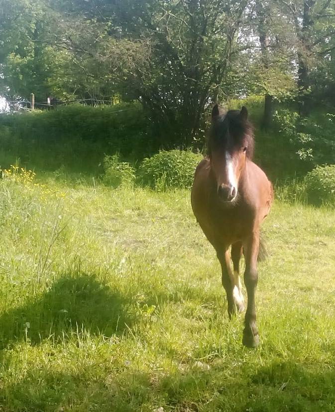 Chic M&acirc;le 2 ans 1m30