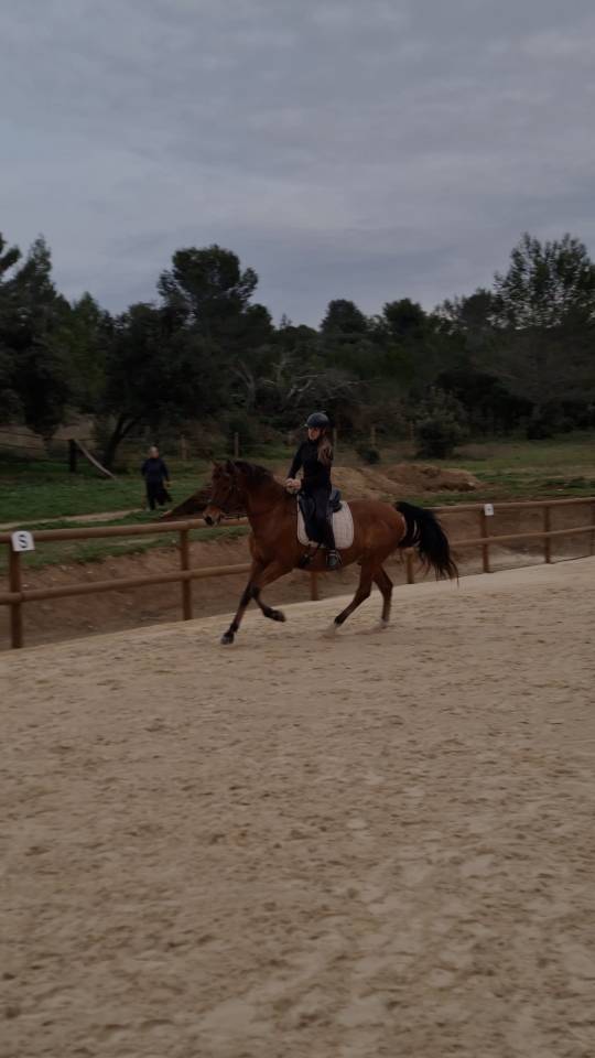 Cheval PRE
