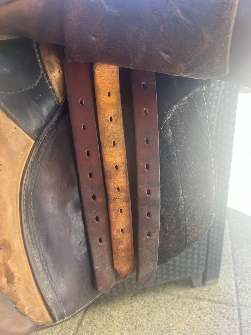 Selle mixte tendance obstacle Passier & Sohn (Hannover)