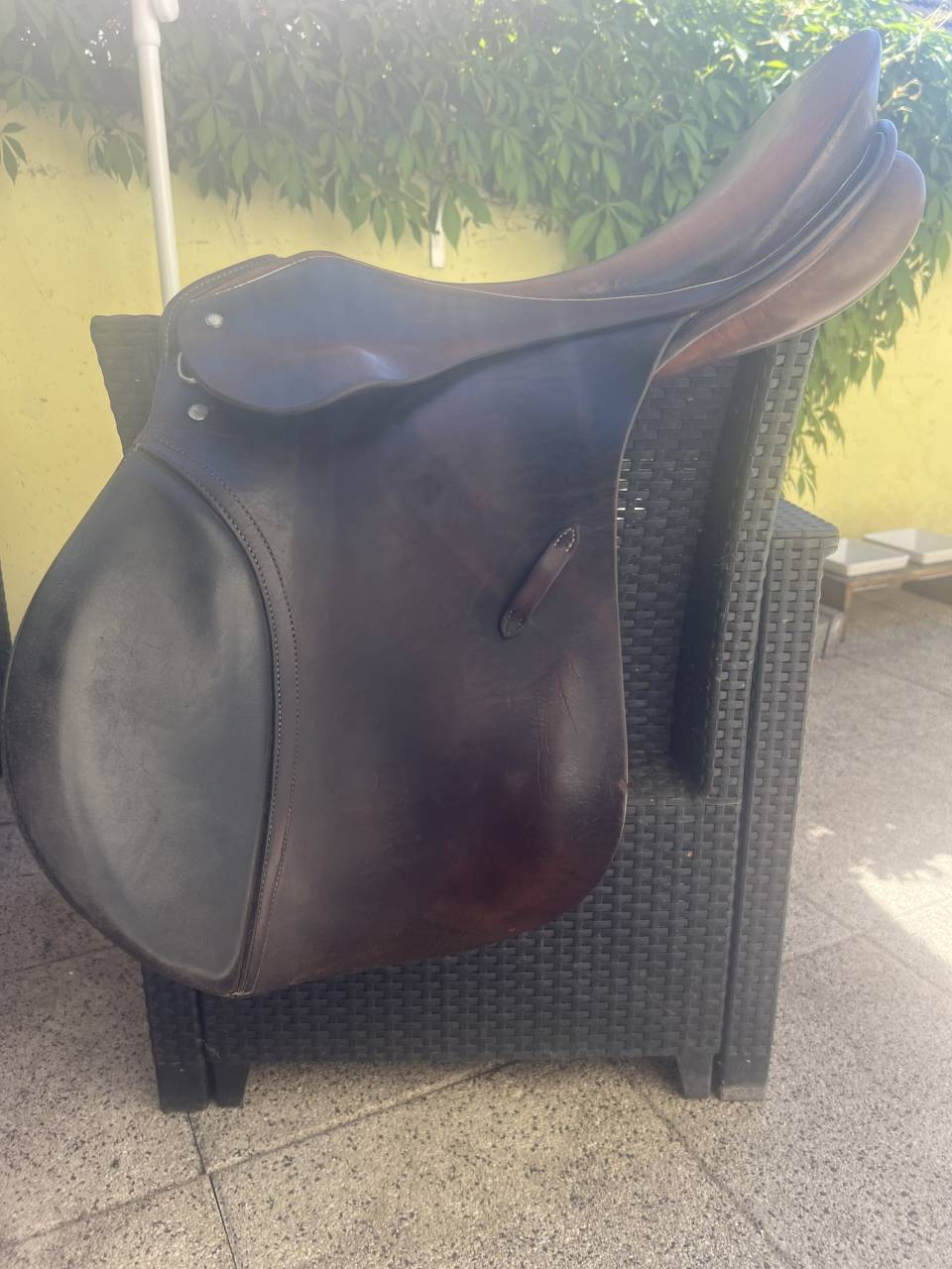 Selle mixte tendance obstacle Passier & Sohn (Hannover)