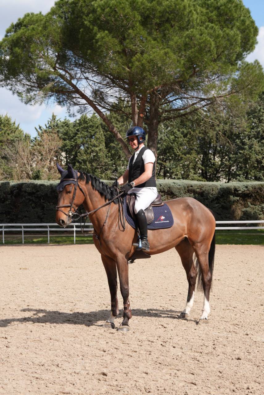 Jument de CSO de 5 ans 