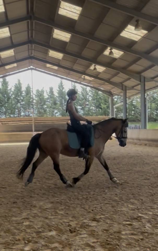 Fairplay de Chabelle - PFS - 1m45 - 11 ans par Rasmus 