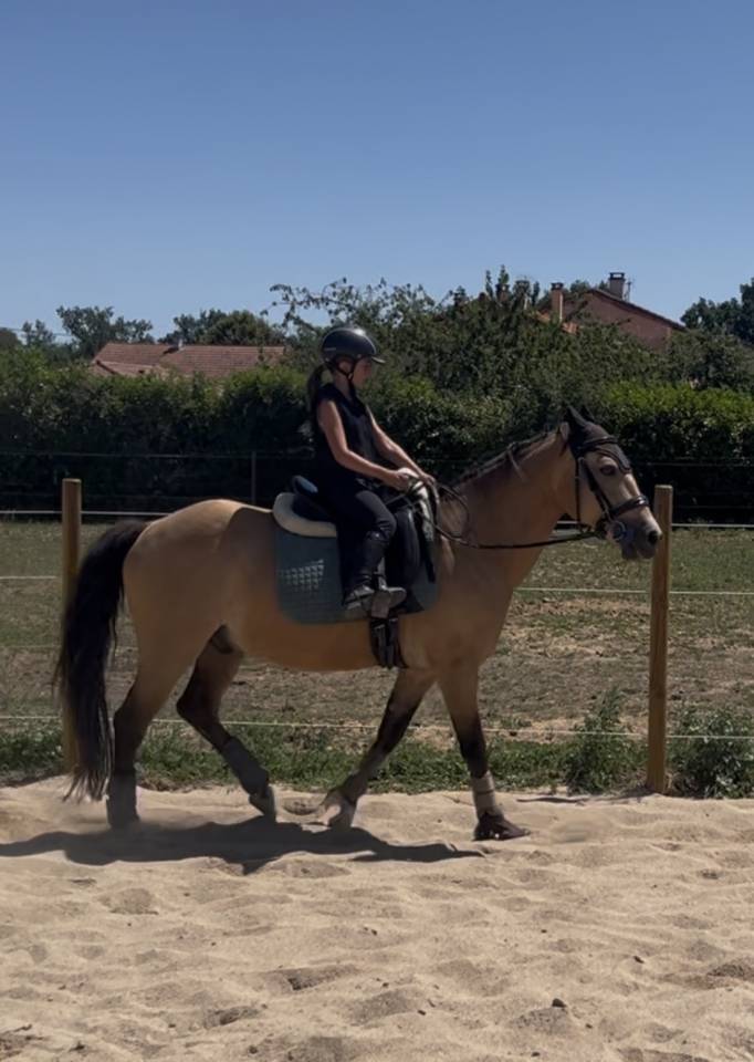 Fairplay de Chabelle - PFS - 1m45 - 11 ans par Rasmus 