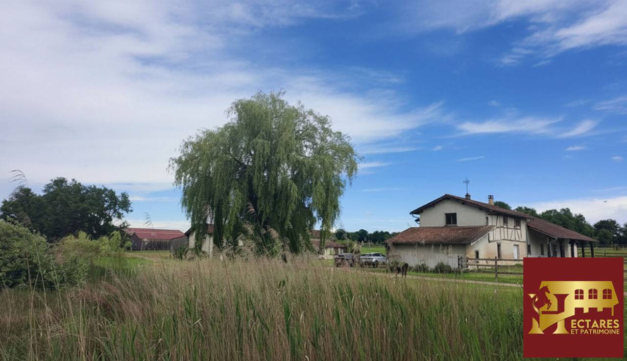 Propri&eacute;t&eacute; 21 hectares 2 habitations