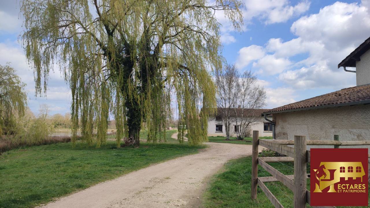Propri&eacute;t&eacute; 21 hectares 2 habitations