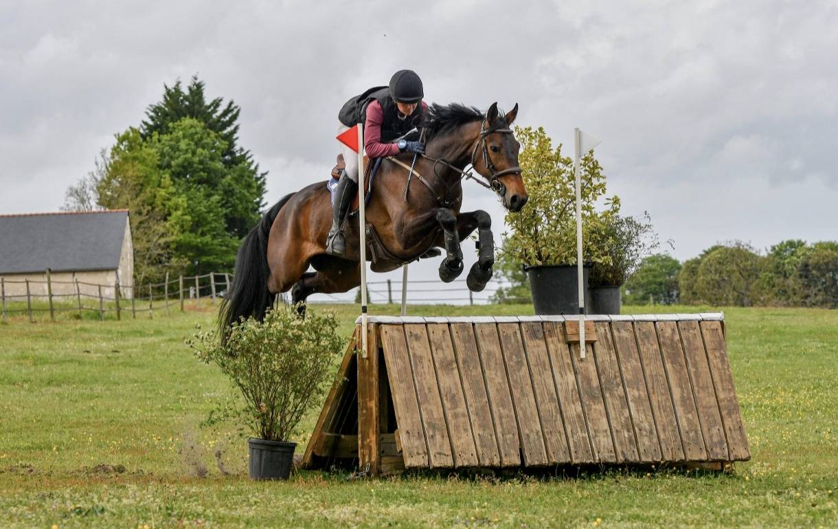 Jument pr&ecirc;te sur cci2*
