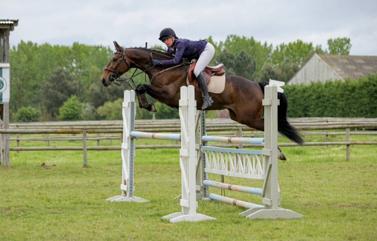 Jument pr&ecirc;te sur cci2*