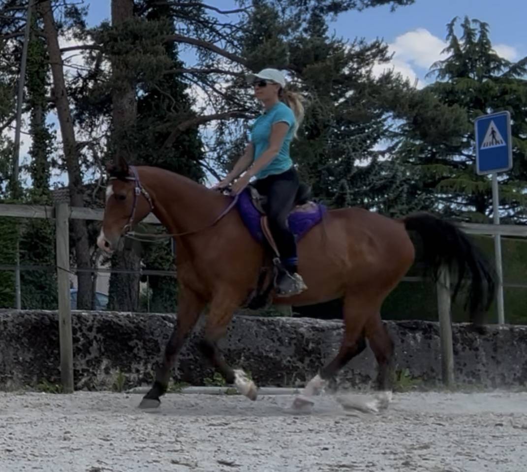 Jument  Ana&iuml;s 3 ans 