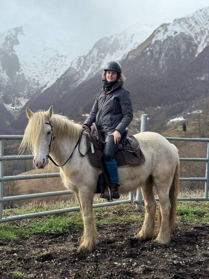 Jument Irish Cob Palomino