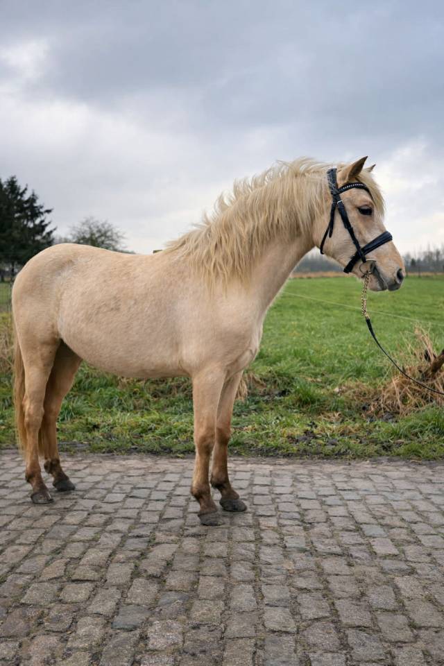Ponette 2 ans 