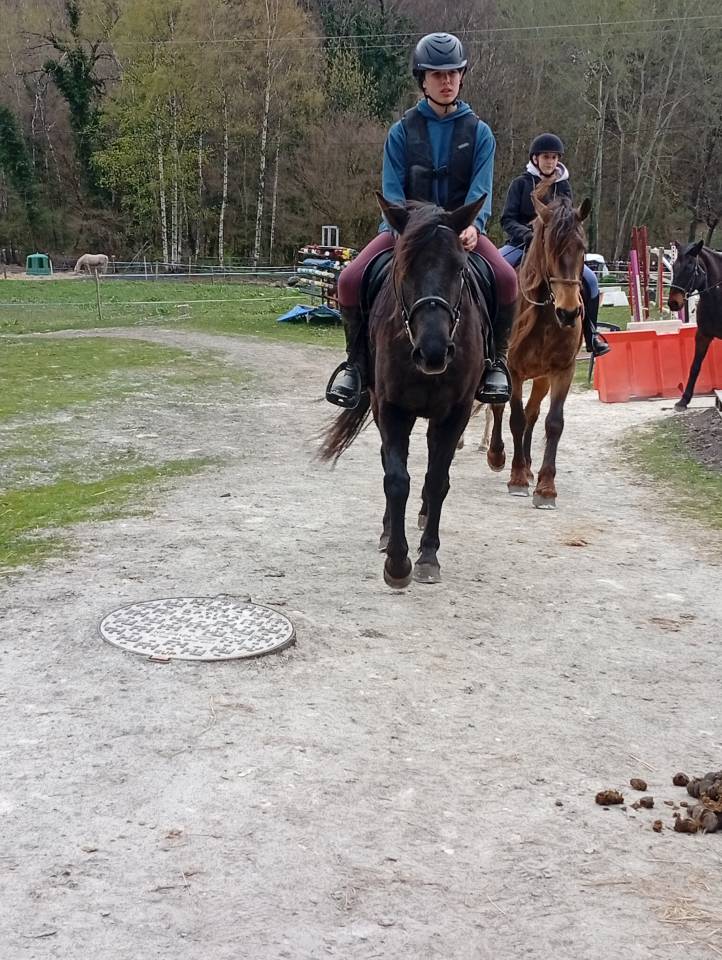 Ponette pfs D 