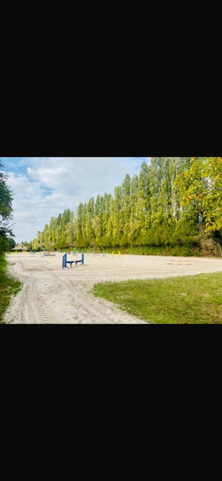 Palefrenier soigneur 2 jours/semaine 