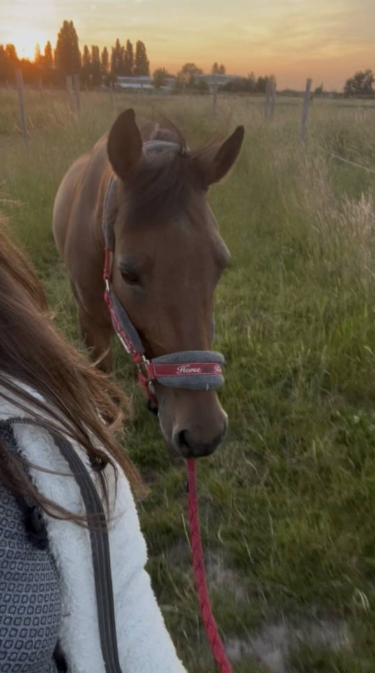 Recherche famille de c&oelig;ur pour Mariska