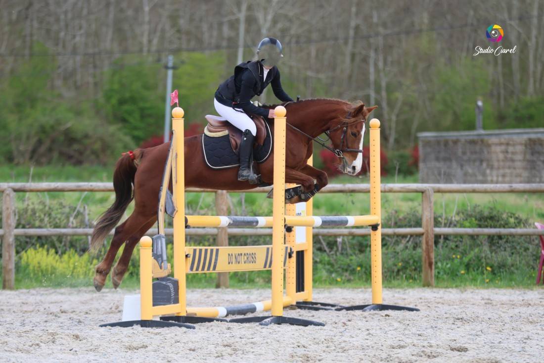 Ponette PFS Alezane 8 ans pour P&eacute;lite