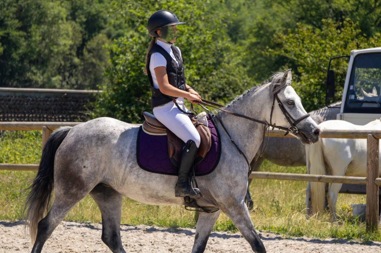 Ponette D 7 ans - pour AS2