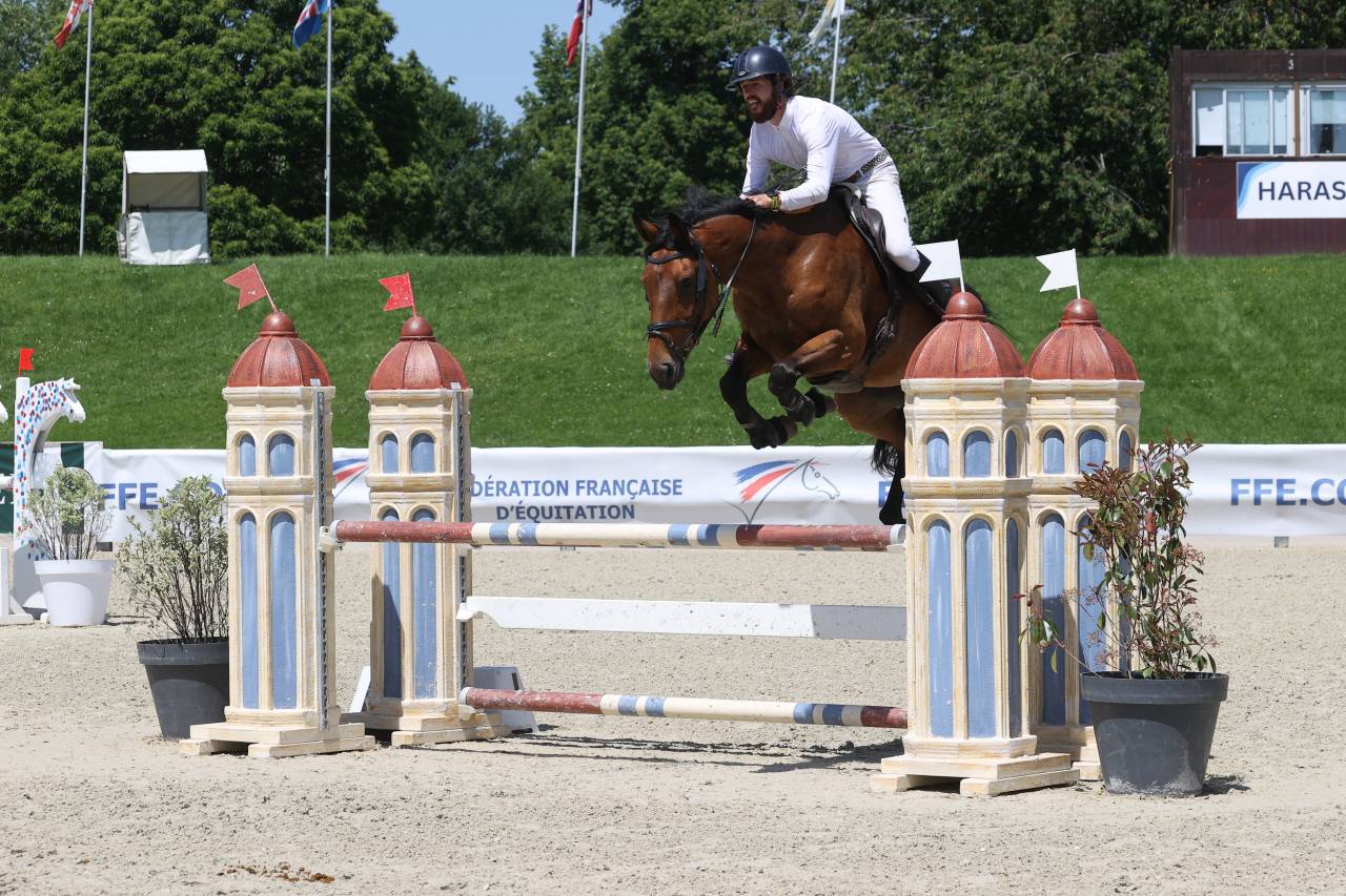Jument de sport-CSO-7 ans-Valorisation-A vendre