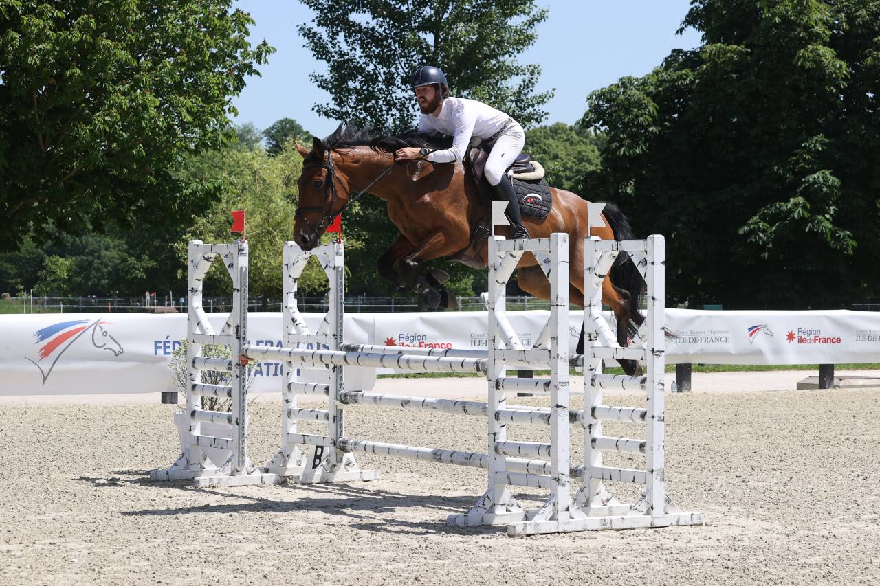 Jument de sport-CSO-7 ans-Valorisation-A vendre