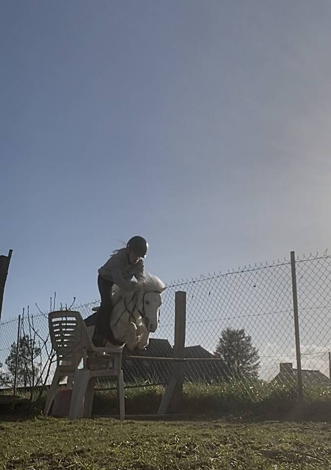 Poney A &agrave; louer 