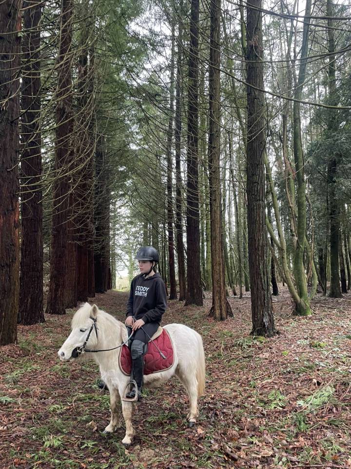 Poney A &agrave; louer 