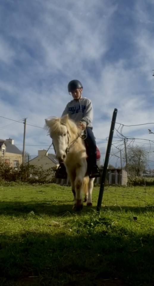 Poney A &agrave; louer 