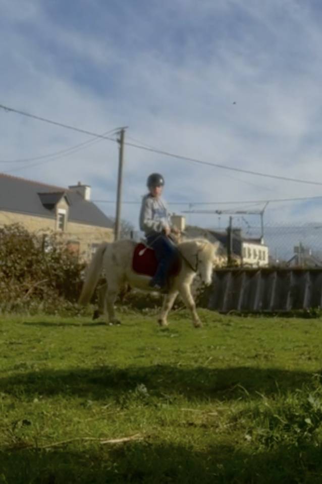Poney A &agrave; louer 
