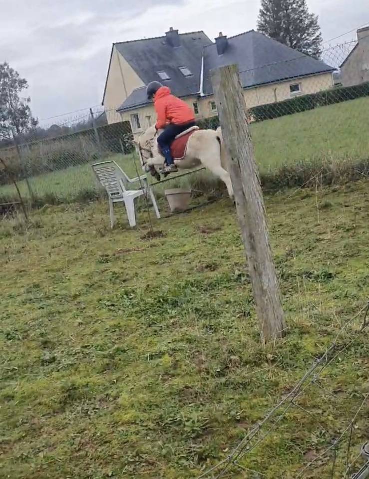 Poney A &agrave; louer 