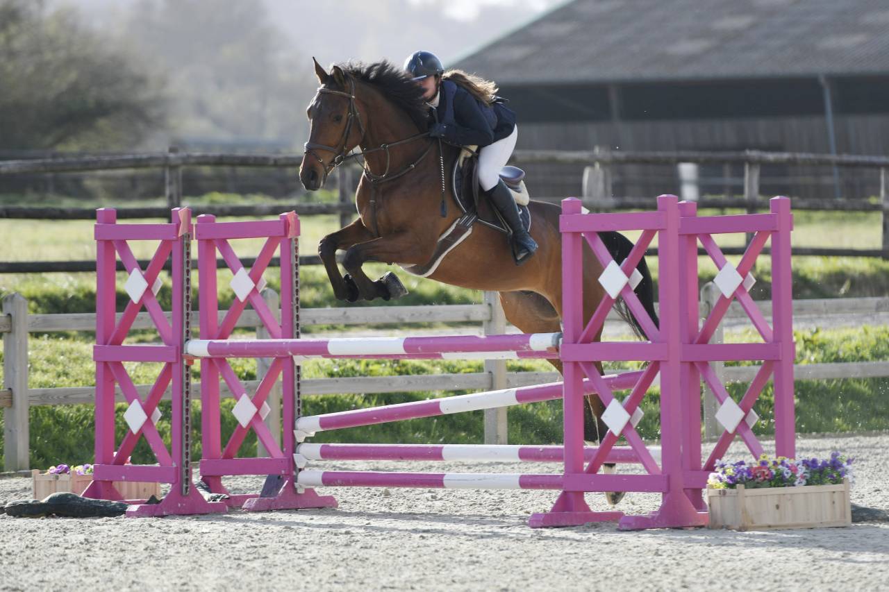 Av super cheval d&rsquo;amateurs
