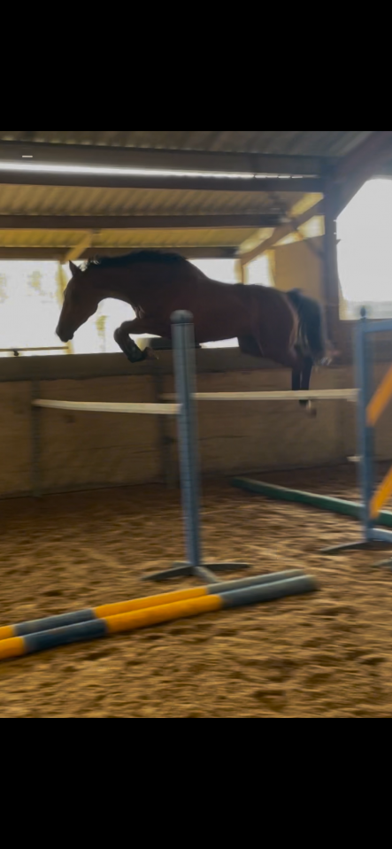 Av super cheval d&rsquo;amateurs