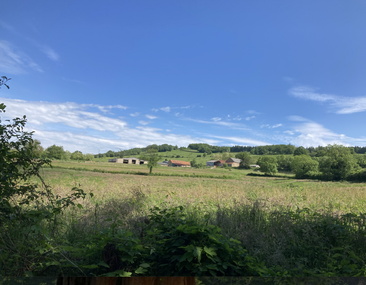 ? Places de pension disponibles &ndash; Luzy (58)