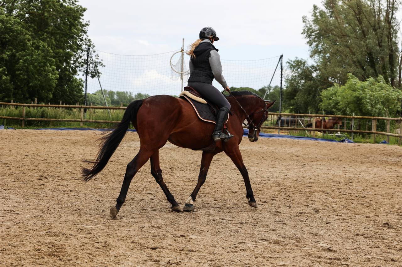 TAZ - 5ans - 1m68